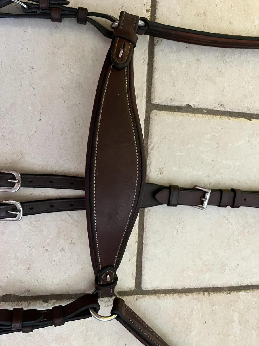 Collier de Chasse avec martingale intégré : Antares