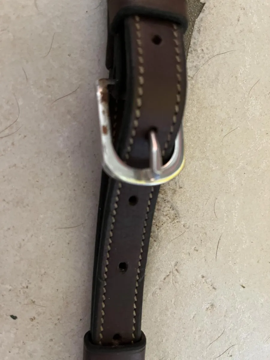 Collier de Chasse avec martingale intégré : Antares